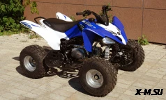 Квадроцикл MOTOLAND (МОТОЛЕНД) 150S