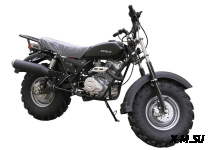 Мотоцикл внедорожный СКАУТ-3VR-250 колеса 12"