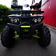 Квадроцикл PROMAX WILD 300 LUX