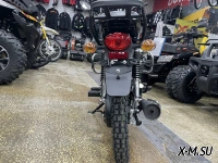 МОПЕД RACER  ALPHA 125 см3 XE SPORT