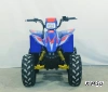 КВАДРОЦИКЛ LINHAI-YAMAHA Polar Fox