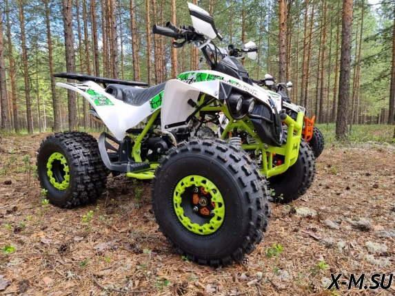 Квадроцикл PROMAX SCORPION 180