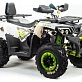 Квадроцикл PROMAX WILD 300 LUX