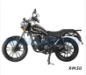 Мотоцикл Regulmoto SK200-8