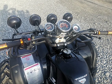 Квадроцикл PROMAX LEO 300 Max (кардан)