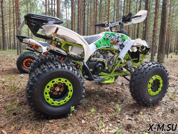 Квадроцикл PROMAX SCORPION 180