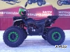 Квадроцикл PROMAX WILD 175 LUX