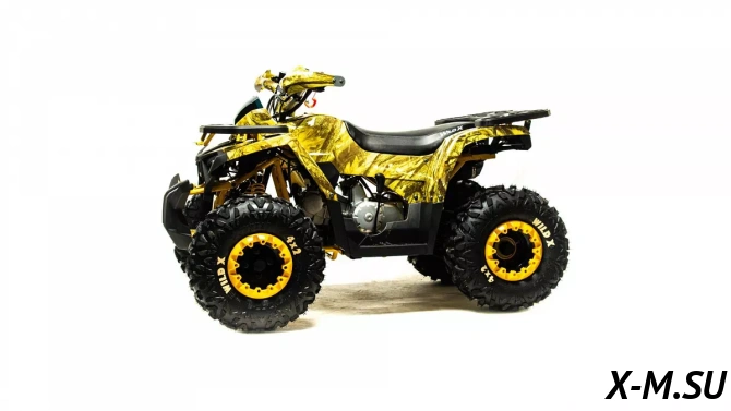 Квадроцикл MOTOLAND (МОТОЛЕНД) 125 WILD X