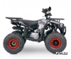 Квадроцикл  YACOTA SIRIUS 110			 			