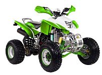 Запчасти для квадроцикла IRBIS ATV 250S
