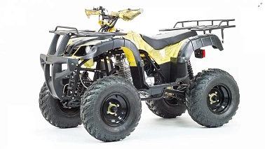 Квадроцикл PROMAX ATV 300