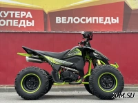 Квадроцикл PROMAX RAPTOR 300 AIR Monster