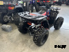 Квадроцикл PROMAX WILD 175 BASIC Б/У