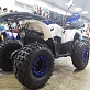 Квадроцикл PROMAX WILD 175 LUX
