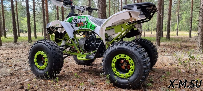 Квадроцикл PROMAX SCORPION 180