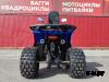 Квадроцикл PROMAX WILD 2.0 190 LUX