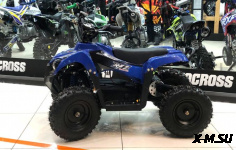 Электроквадроцикл Apollo RFZ  E-KING KONG 1000W