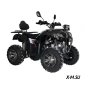 Квадроцикл Regulmoto XMR 200 Lux