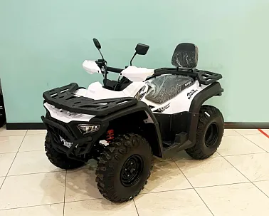 Квадроцикл BASHAN EXPLORER 300 BASIC