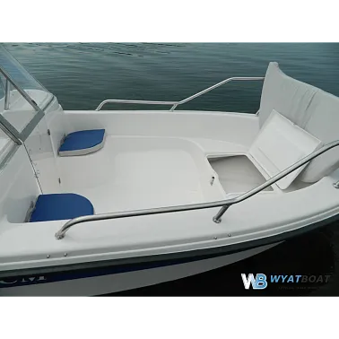 Стеклопластиковый катер Wyatboat-430 DCM (тримаран)