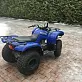 Квадроцикл Grizzly 125