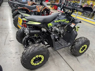 Квадроцикл MOTOLAND (МОТОЛЕНД) 110 RAPTOR A черный